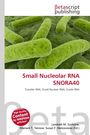"Small Nucleolar RNA SNORA40" in roter Schrift. Grüner, länglicher Organismus darunter.