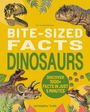 "BITE-SIZED FACTS DINOSAURS. DISCOVER 1000+ FACTS IN JUST 5 MINUTES." Dinosaurier und Pflanzen, gelber Hintergrund.