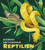 Cristina Banfi: Besonders und wunderbar: Reptilien, Buch
