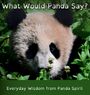 Q. Grinsven: What Would Panda Say?, Buch