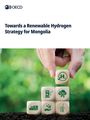 Oecd: Towards a Renewable Hydrogen Strategy for Mongolia, Buch