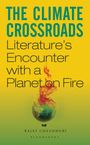 Rajat Chaudhuri: The Climate Crossroads, Buch