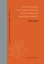 Fabrizio Amerini: Thomas Aquinas and Hervaeus Natalis On Concepts and Intentional Objects, Buch