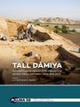 "Volume 1 TALL DĀMIYA. Archaeological research in the Central Jordan Valley between 2004 and 2019." Ausgrabungsszene mit Menschen.