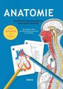 : Anatomie - Anleitung und Malkarten zum Selbststudium, Buch