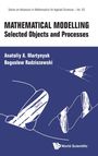 Boguslaw Radziszew Anatoliy A Martynyuk: Mathematical Modelling, Buch