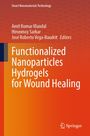Titel: "Functionalized Nanoparticles Hydrogels for Wound Healing." Autoren: Amit Mandal, Hironmoy Sarkar, José Roberto Vega-Baudrit. Hintergrund in Rot-Orangentönen. Oben links: "Smart Nanomaterials Technology". Unten rechts ein Springer-Logo.