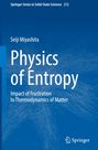 „Physics of Entropy“ von Seiji Miyashita. Abstrakte blaue Linien, Springer-Logo unten rechts.