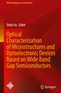 Titel: Optical Characterization of Microstructures. Roter Hintergrund mit geometrischen Formen. "Springer"-Logo unten.