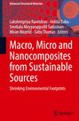 Titel: "Macro, Micro and Nanocomposites from Sustainable Sources". Hintergrund: Rote und blaue geometrische Muster.