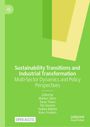 Sustainability Transitions and Industrial Transformation, Buch