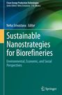"Sustainable Nanostrategies for Biorefineries." Grünes Cover mit blauer und gelber Farbverläufen. Springer-Logo unten.