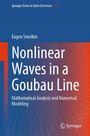 Eugen Smolkin: Nonlinear Waves in a Goubau Line, Buch