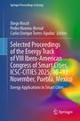 Selected Proceedings of the Energy Track of VIII Ibero-American Congress of Smart Cities, ICSC-CITIES 2025, 10-12 November, Puebla, Mexico, Buch