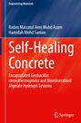 Raden Maizatul Aimi Mohd Azam: Self-Healing Concrete, Buch