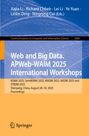 „Web and Big Data. APWeb-WAIM 2025 International Workshops“, blau-orange Design mit Springer-Logo unten.