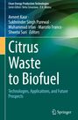 Buchtitel: "Citrus Waste to Biofuel". Namen mehrerer Editoren. Grüner Hintergrund mit abstrahierten Formen. Springer-Logo.