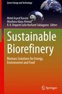 Sustainable Biorefinery, Buch