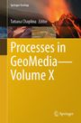 Processes in GeoMedia-Volume X, Buch