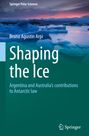 Bruno Agustin Arpi: Shaping the Ice, Buch
