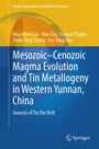 Titel: "Mesozoic–Cenozoic Magma Evolution and Tin Metallogeny in Western Yunnan, China". Farbverlauf in Blau und Gelb.
