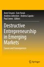 Oben sind Namen von Herausgebern. Haupttext: "Destructive Entrepreneurship in Emerging Markets: Causes and Consequences". Logo unten rechts.