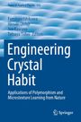 Titel: Engineering Crystal Habit. Hintergrund: Wolkige blaue Muster, Springer-Logo unten rechts.