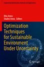 "Buchtitel: Optimization Techniques for Sustainable Environment Under Uncertainty. Oben rote und blaue Farbverläufe."