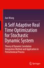 Text: "Jian Wang. A Self Adaptive Real Time Optimization for Stochastic Dynamic System." Roter Hintergrund mit Logo unten.