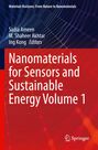 Nanomaterials for Sensors and Sustainable Energy Volume 1. Hintergrund mit Linienmuster in Blau und Rot.