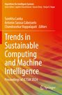 Text: "Trends in Sustainable Computing and Machine Intelligence, ICTSM 2024." Farbverlauf in Orange- und Gelbtönen.