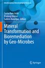 Blauer Hintergrund mit organischen Formen. Text: "Mineral Transformation and Bioremediation by Geo-Microbes". Springer-Logo unten.
