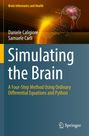 Daniele Caligiore: Simulating the Brain, Buch