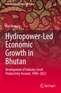 Text: "Hydropower-Led Economic Growth in Bhutan". Hintergrund: Rote und beige, geschwungene, abstrakte Muster.