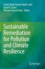 Titel: Sustainable Remediation for Pollution and Climate Resilience. Grüne und blaue Farbverläufe, Springer-Logo.