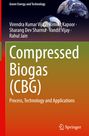 "Compressed Biogas (CBG)" oben grüne Schrift, unten verblasst orange; Erdkugel im Hintergrund und Springer-Logo.