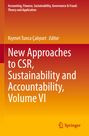 Titel: "New Approaches to CSR, Sustainability and Accountability, Volume VI". Roter und orangefarbener Hintergrund mit Springer-Logo.