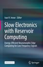 Titel: "Slow Electronics with Reservoir Computing". Herausgeber: Isao H. Inoue. Verlag: Springer. Hintergrund in Blau- und Grüntönen.