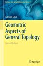 Katsuro Sakai: Geometric Aspects of General Topology, Buch