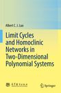 Titel: "Limit Cycles and Homoclinic Networks in Two-Dimensional Polynomial Systems". Gelb-blaue Buch-Covergestaltung.