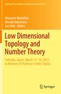 Titel: "Low Dimensional Topology and Number Theory". Herausgeber: Masanori Morishita, Hiroaki Nakamura, Jun Ueki. Springer-Logo.