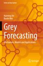 Naiming Xie: Grey Forecasting, Buch