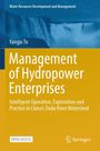 Titel: "Management of Hydropower Enterprises". Oben ein Wasserfall, unten gelber Hintergrund mit einem Springer-Logo.