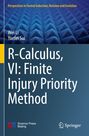 Titel: "R-Calculus, VI: Finite Injury Priority Method." Autoren: Wei Li, Yuefei Sui. Geometrisches Muster im Hintergrund.