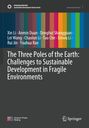 Titel: The Three Poles of the Earth. Autoren: Xin Li, Anmin Duan, Donghui Shangguan. Bunte vertikale Streifen oben.