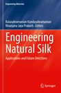 Buchtitel: "Engineering Natural Silk: Applications and Future Directions". Schlichtes, zweifarbiges Cover in Blau und Rot.