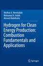 Text: "Hydrogen for Clean Energy Production: Combustion Fundamentals and Applications." Blaues Cover, Springer-Logo unten.