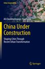 Ali Cheshmehzangi: China Under Construction, Buch