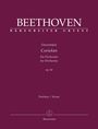 Ludwig van Beethoven: Ouvertüre "Coriolan" für Orchester op. 62, Buch