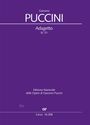 Giacomo Puccini: Adagetto F-Dur SC 51, Noten
